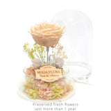 The Queen Peach - MODA FLORA