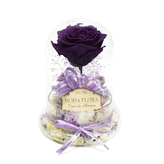 The Queen Purple