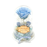 The Queen Baby Blue - MODA FLORA