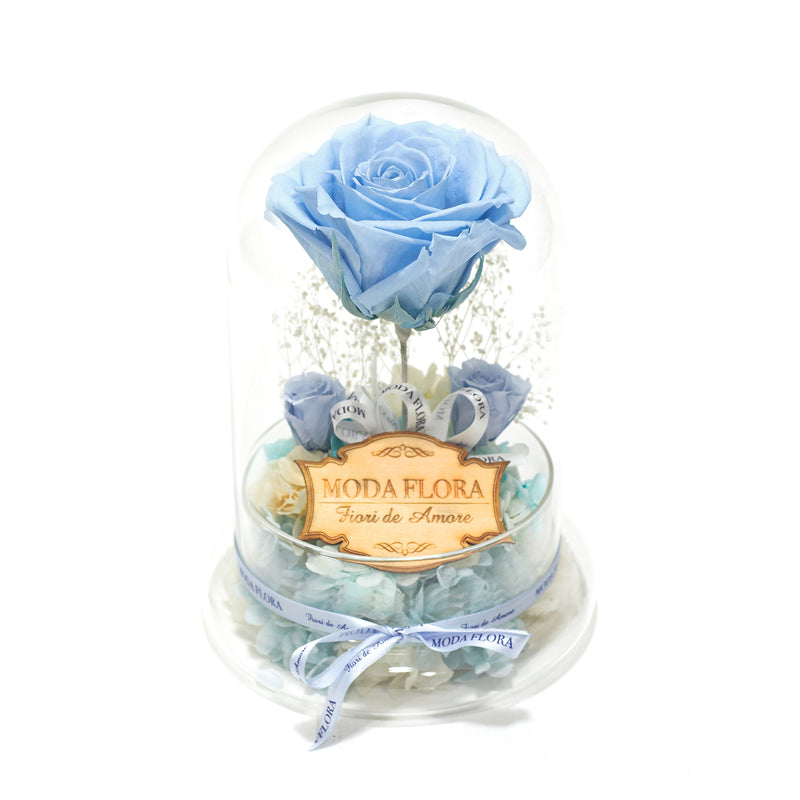The Queen Baby Blue - MODA FLORA