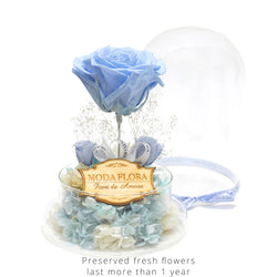 The Queen Baby Blue - MODA FLORA