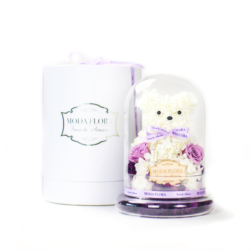 Agent 005 - Baby Bear Lavender