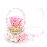Halo Pink (L)