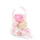 Halo Pink (L)