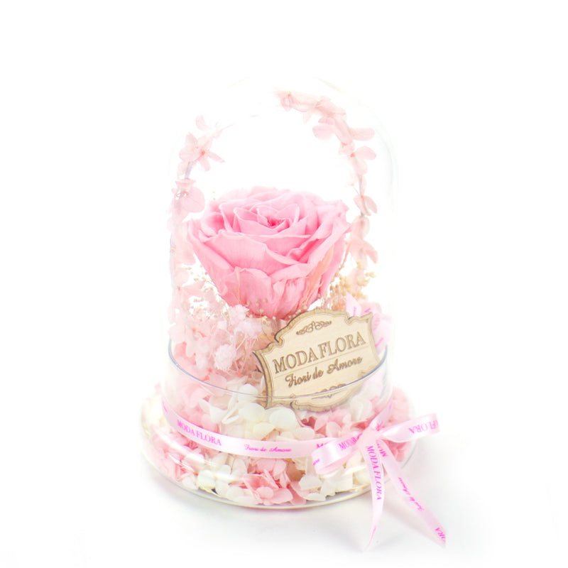 Halo Pink (L)