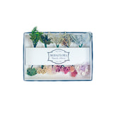 Tourmaline Princess - MODA FLORA