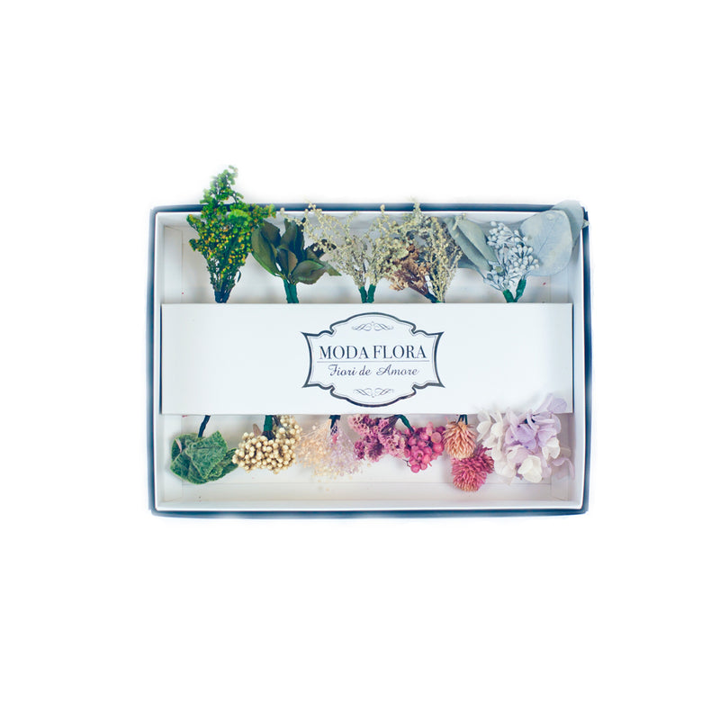 Tourmaline Princess - MODA FLORA