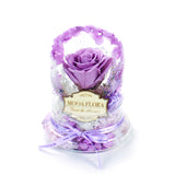 Halo Purple (L)