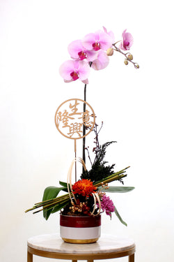 Orchid Elegance (1 stem)